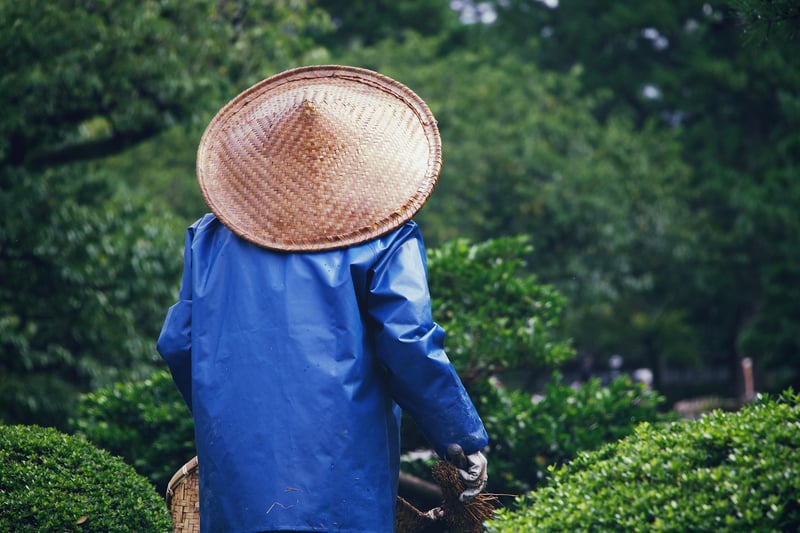 Sustainable Gardening Workshop
