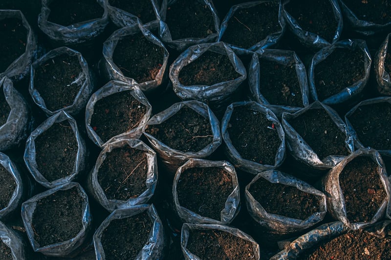 Container Gardening Masterclass